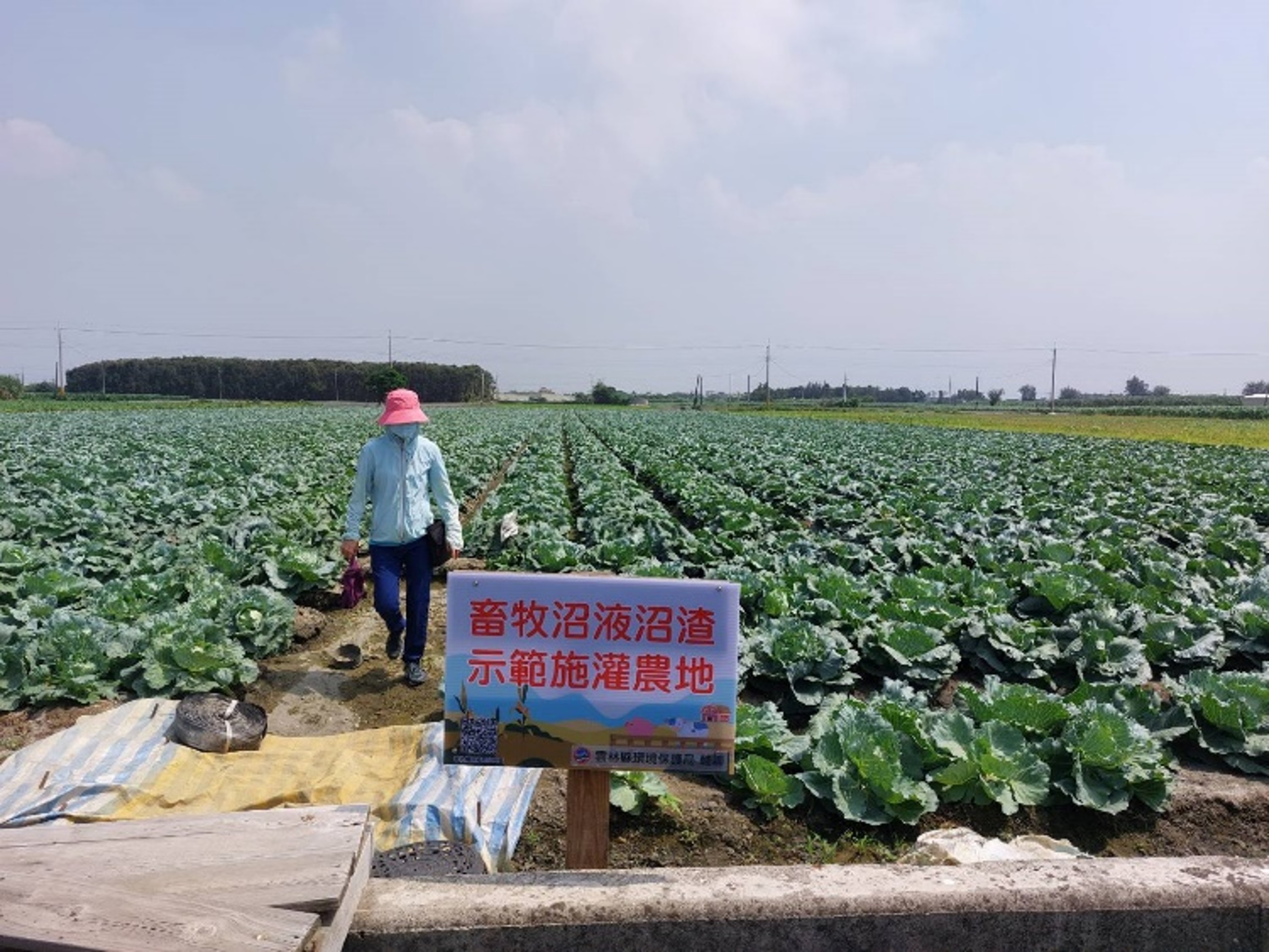 沼液沼渣有機肥